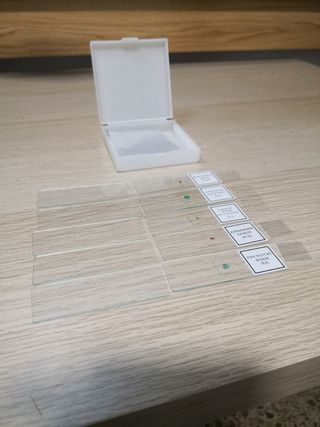 Microscopio