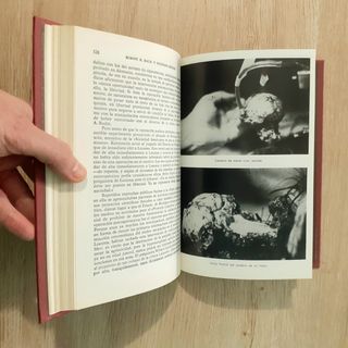 Libro ¿AL FIN UN HOMBRE NUEVO? 1979