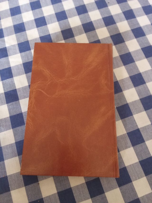 Libro Asesinato en el comité central