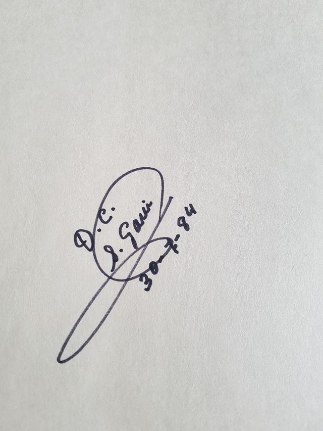 "El Gemismo de Dina Cosson, una estét...