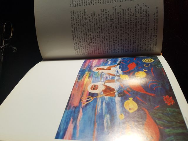 "El Gemismo de Dina Cosson, una estét...