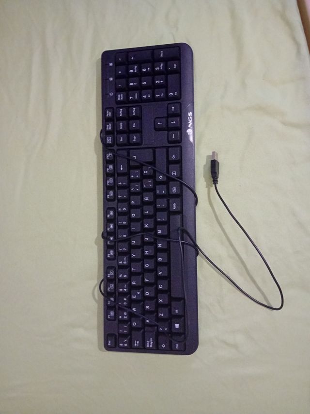 Teclado y ratón para PC