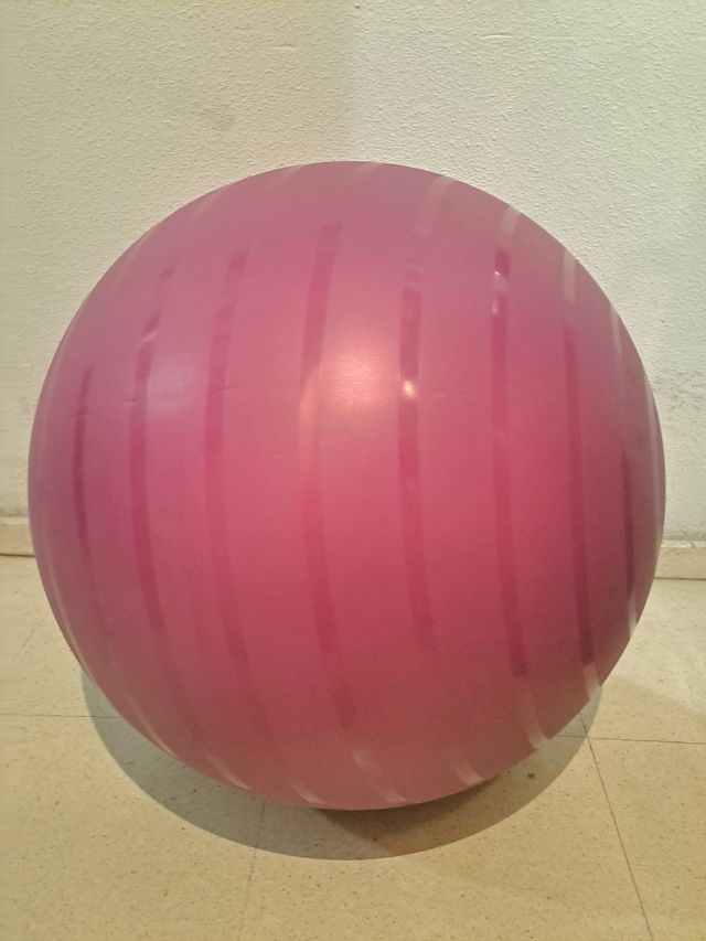 Palline SWISS BALL per pilates.