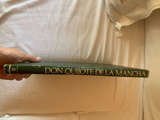 Volumen 8 Cómic Don Quijote de la Mancha