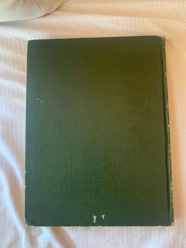 Volumen 8 Cómic Don Quijote de la Mancha