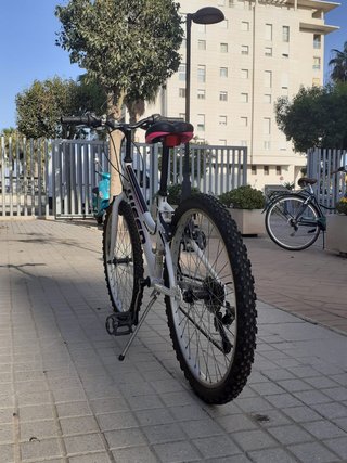 Bicicleta Junior