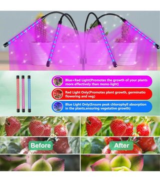 CrazCalf lampada led coltivazione piante