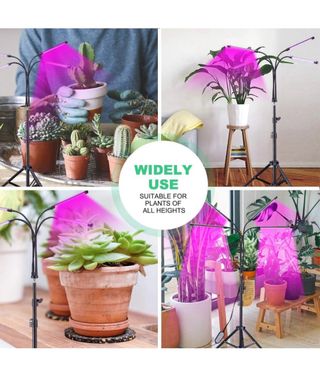 CrazCalf lampada led coltivazione piante