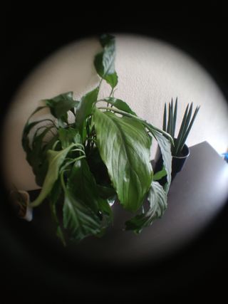 Lentes para câmara telemóvel 