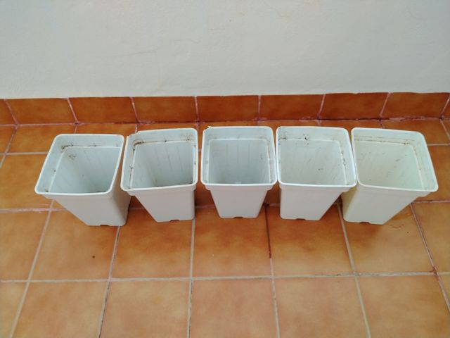 Maceteros hindor blancos