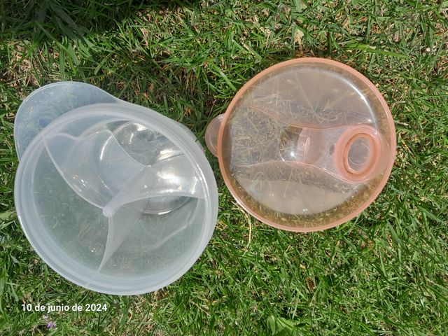 Plancha de piedra y sartenes