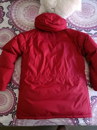 The north face
