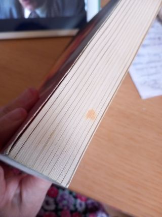 Tracy Chevalier: Quando cadono gli angel