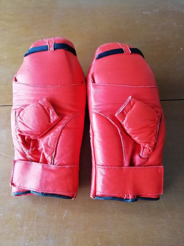 Guantoni per arti marziali miste