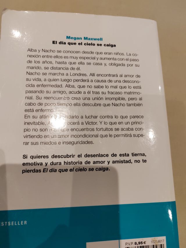 El día que el cielo se caiga. MEGAN MAXW