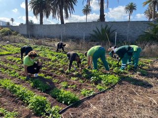 Terreno en alquiler
