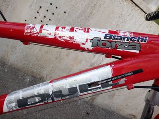 Bicicletta Bambino Bianchi Duel  in Allumino