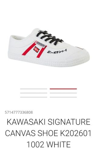 Canvas Kawasaki Signature 