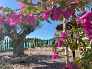 Casa rural en moratalla a 1.5km del centro.