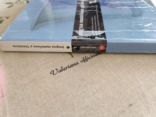 Libro lengua castellana 1 bachillerato