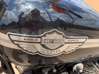 Harley Davidson edición limitada