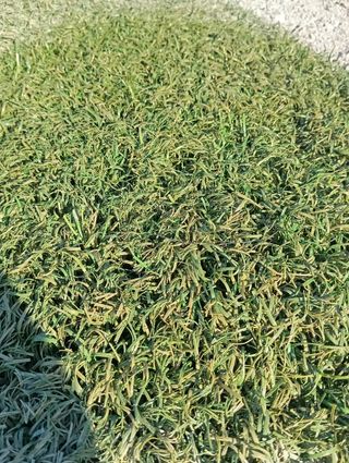 Césped artificial reciclado ♻️
