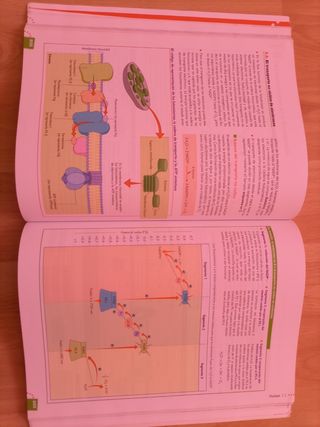 Libro Biología 2 bachillerato Anaya