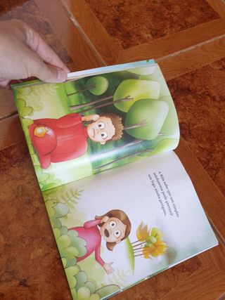 Livros: pafi. Bombeiro dos pés à cabeça