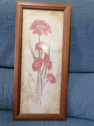 Laminas decorativas enmarcadas