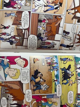 Mystère en Camargue