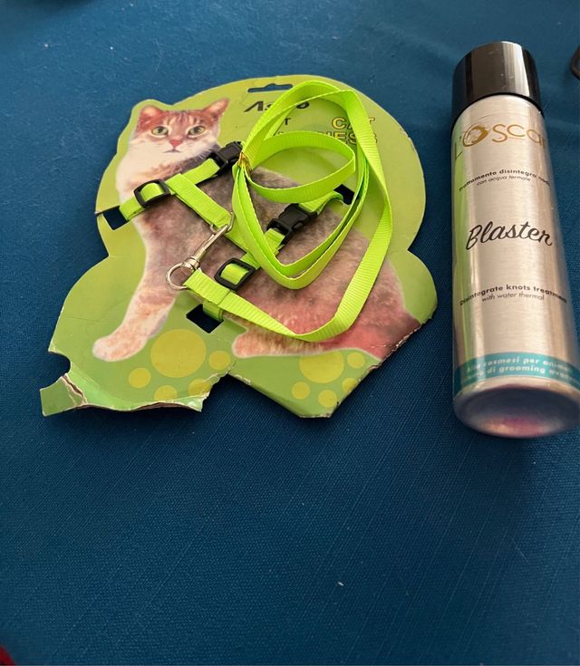 Guinzaglio e scioglinodi Gatto