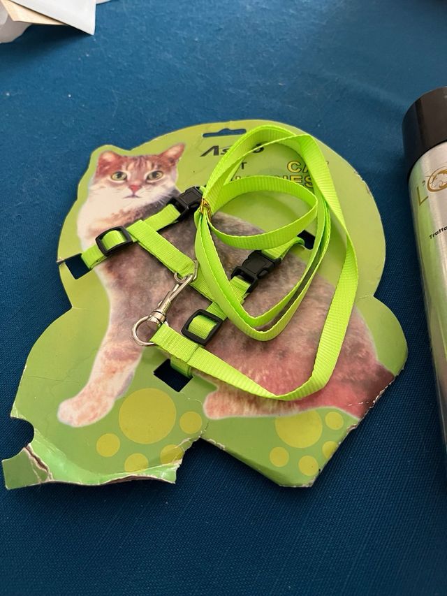 Guinzaglio e scioglinodi Gatto