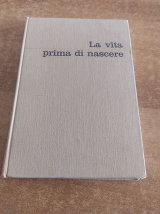 La vita prima di nascere