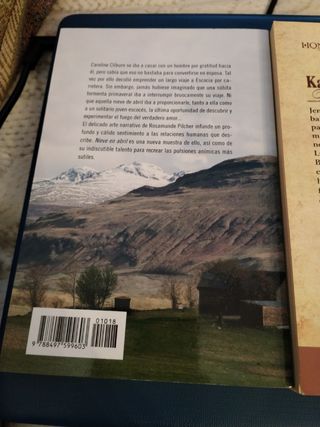 Novelas románticas