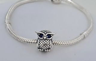 Charm Búho.