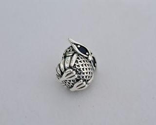 Charm Búho.