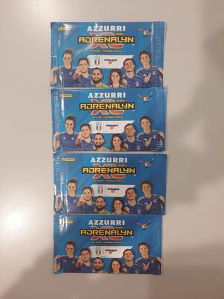 Figurine panini azzurri 2024