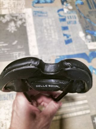Sillín Selle Royal