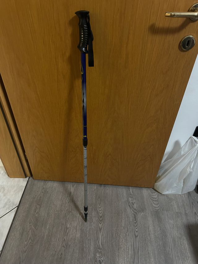 Bastone da passeggio/montagna