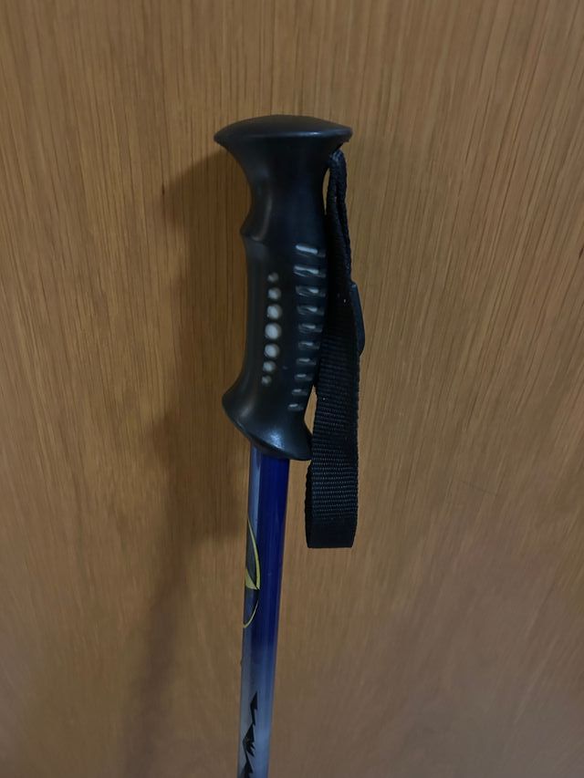 Bastone da passeggio/montagna