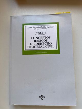 Conceptos básicos del derecho procesal civil