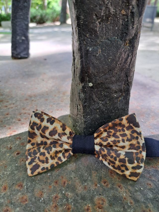 Pajarita Hecha a Mano - Handmade animal