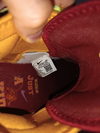 Lebron 18 Kid from akron