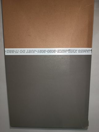 Lebron 18 Kid from akron