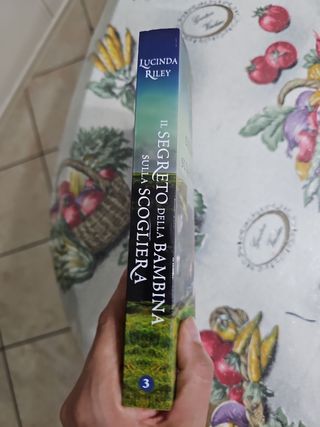 Il segretobdella bambina sulla scogliera