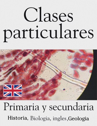 Clases de repaso de materia