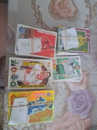 Lote 1