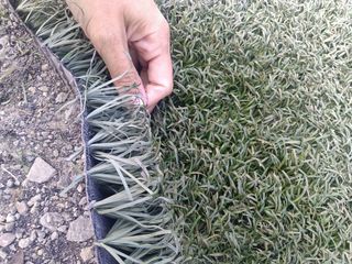 Césped artificial reciclado ♻️