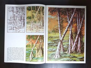 Manuales de pintura Taker y Foster
