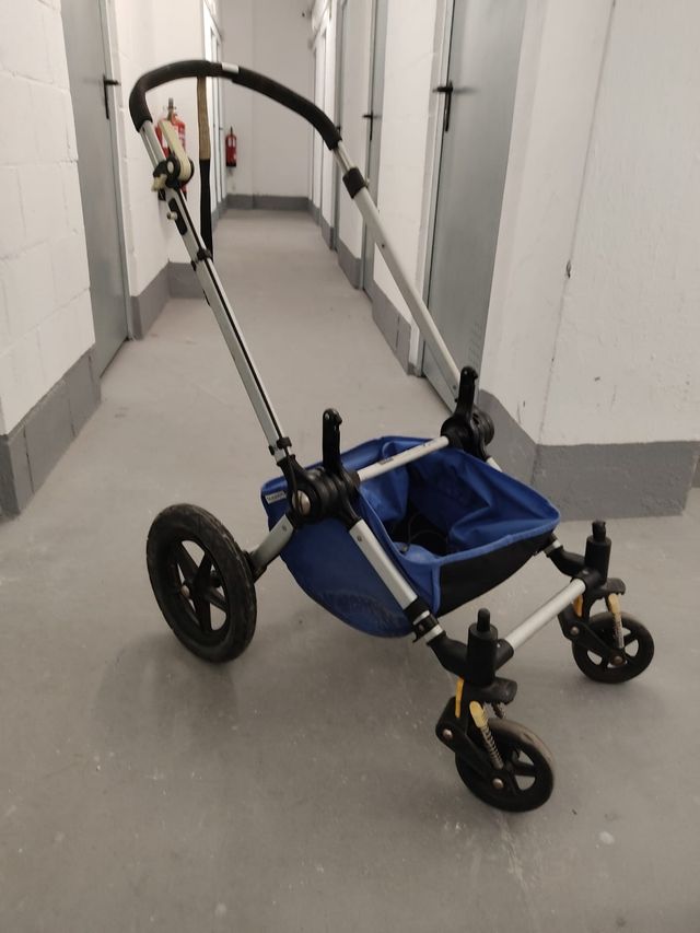 Bugaboo cameleon